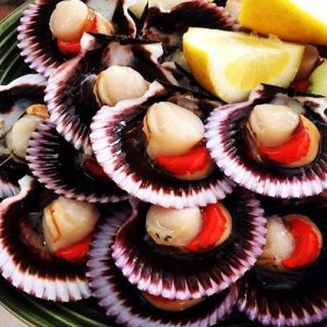 Ostión carne cruda (1Kg.)